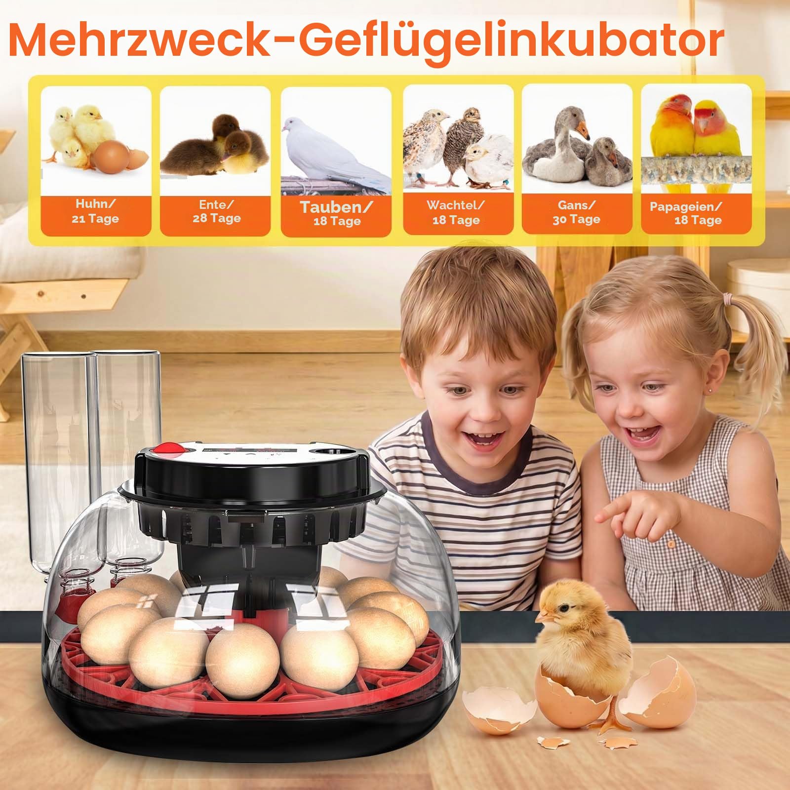 Brutautomat Vollautomatisch, Inkubator Hühner 12 Eier mit Automatische Wasserversorgung & Automatischer Eierwender, Temperatur Feuchtigkeitskontrolle, Eierdurchleuchter für Hühner, Enten & Wachteleier