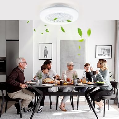 Daromigo Plafondventilator met Licht, 80W Dimbare Plafond Ventilator met Afstandsbediening en APP, Omkeerbaar Plafondventilator met Lamp, 6 Snelheden 3 kleurtemperaturen, met Timerfunctie photo 2