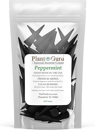 Conos de incienso de carbón de menta de 2 pulgadas paquete de 60 conos perfumados naturales hechos a mano sumergidos a mano