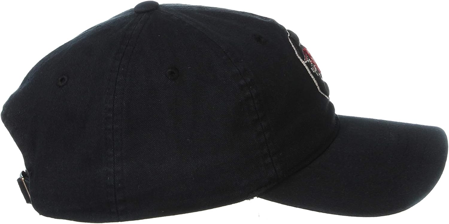 Zephyr Men's Standard Adjustable Scholarship Hat Black, One Size