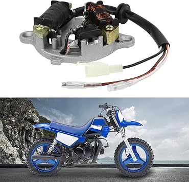 FLYPIG Magneto Ignition Stator Assembly for Yamaha PY50 PW50 Y-Zinger Peewee50 QT50 Motorbike 1981-2014