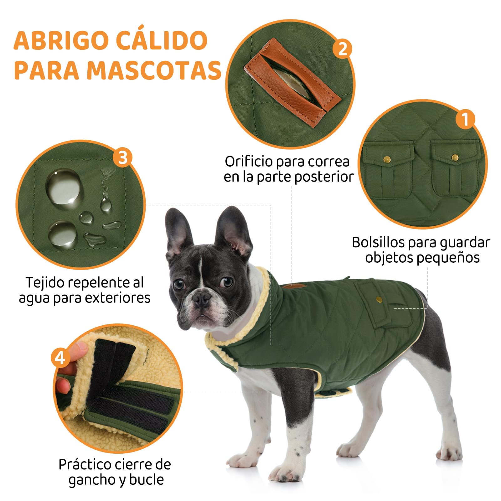 Queenmore Abrigo Perro Pequeño Abrigo Impermeable Perro Abrigo para Perros Invierno Ropa Perro Chaqueta Perro Caldo para Teckel Bulldog Frances, Verde, S