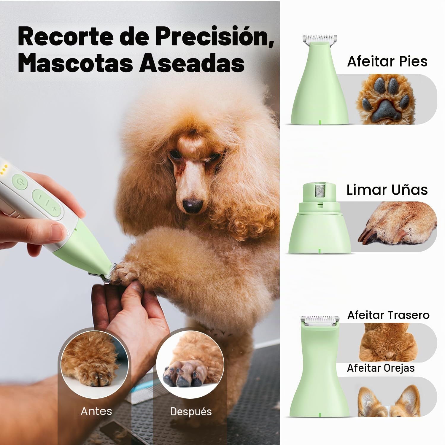 Kit de Premium 4 en 1 Máquina Cortar Pelo perro, Impermeable Máquina de Cortapelos para Perros y Patas