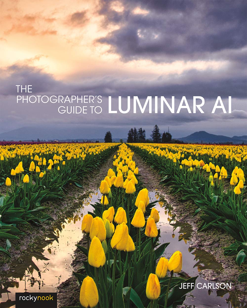 Photographer's Guide to Luminar AI,The: How an Ex-Factory Worker Helped Save One of Australia's Iconic Companies