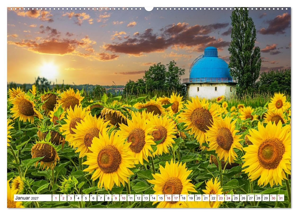 CALVENDO · Sonnenblumen - ein ganzes Jahr voller (Kalender 2027) | DIN A2 Querformat · Wandkalender · Sonnenschein · 13 wunderschöne Sonnenblumenfotos sorgen das ganze Jahr für gute Laune