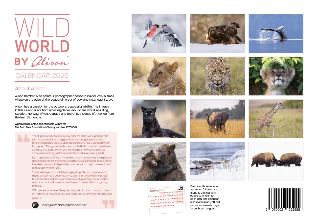 By Alison 2025 Calendar Wild World Wildlife Calendar A3 Wall Calendar ...
