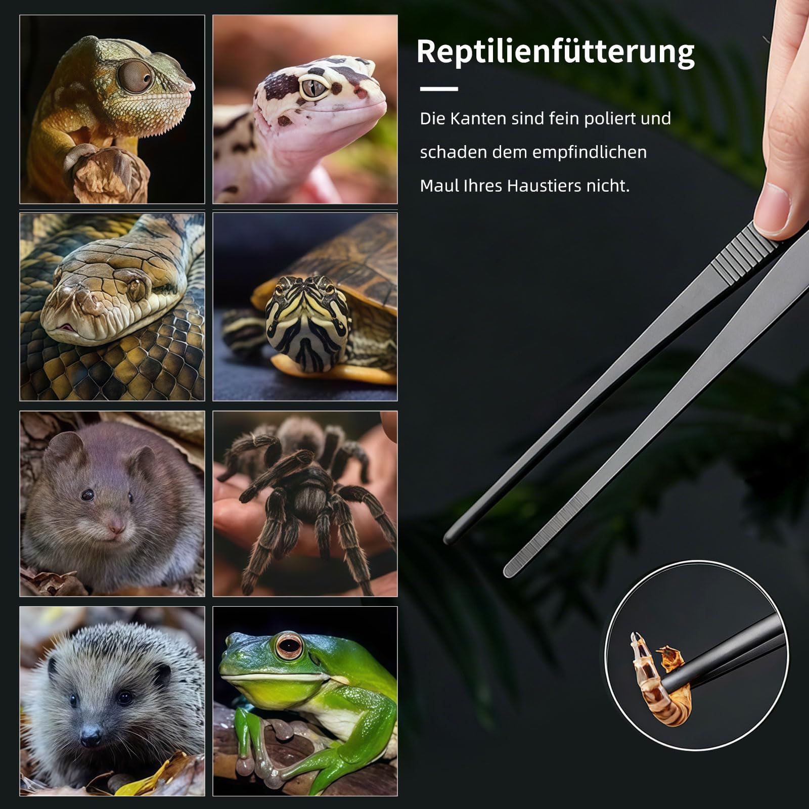 Juego de 2 pinzas de acuario largas de acero inoxidable, pinzas de alimentación rectas y curvas para reptiles, plantas acuáticas, accesorios protectores para dedos, serpientes, lagartos, arañas - 4
