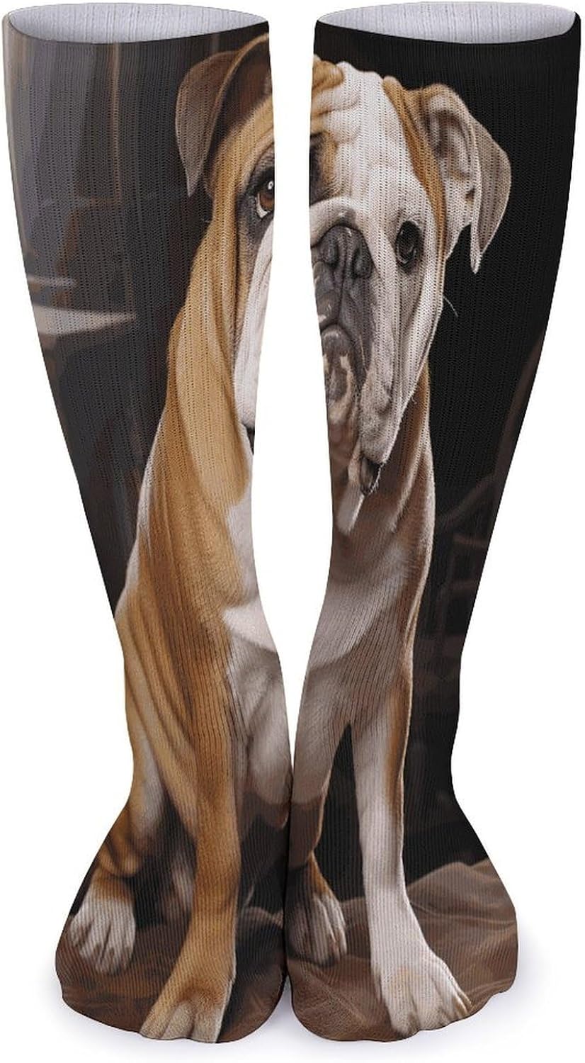 English-Bulldog Knee High Socks Cozy Knee High Socks Soft Mid-Length Sock for All Seasons Daily Wear Adult