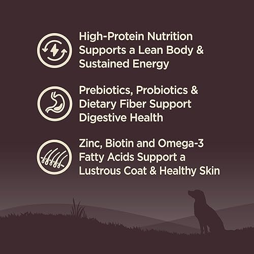 Vista 22 de Comida seca para perro sin granos Wellness Core Natural , Marrón/Azul