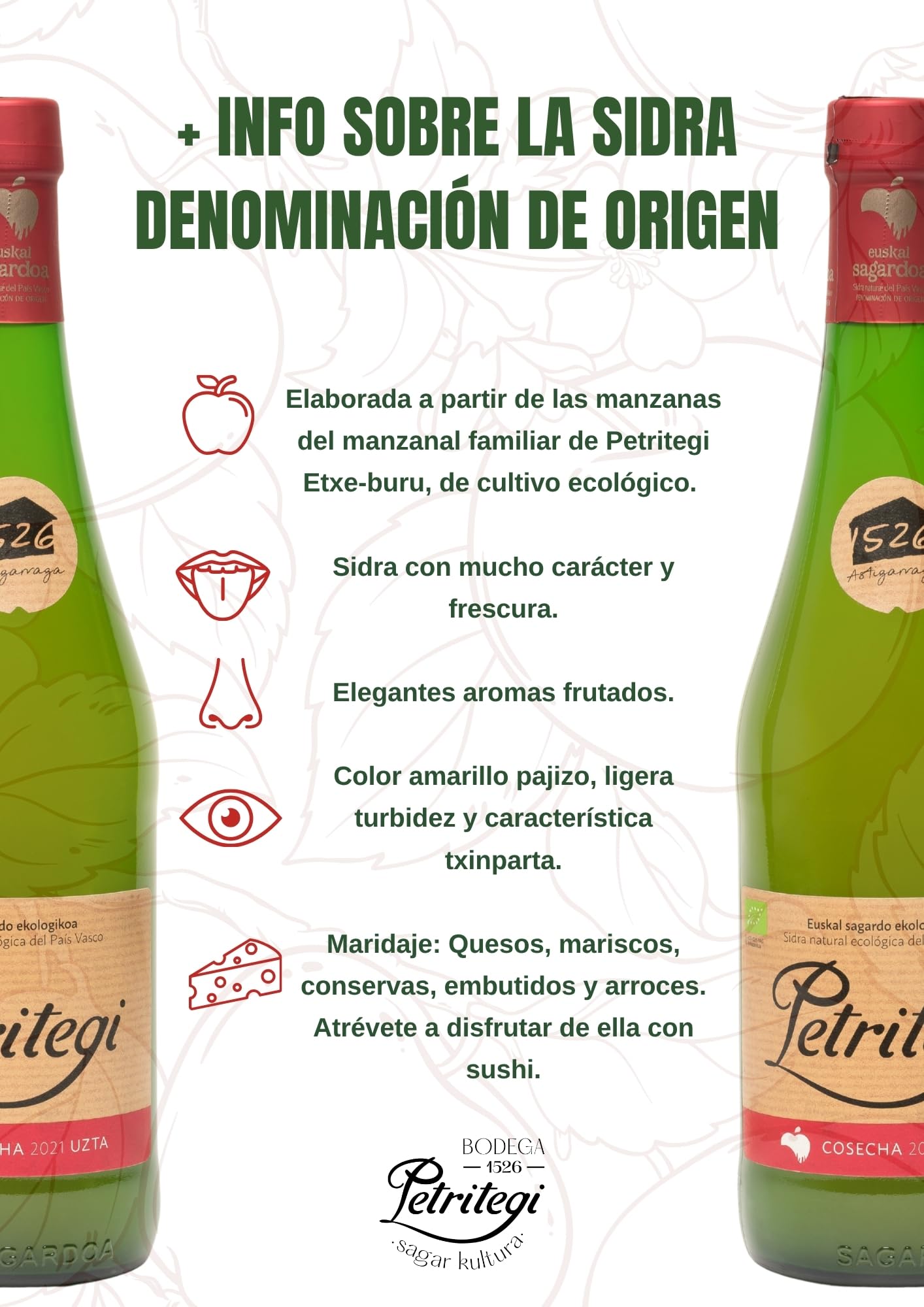 Petritegi Eko Euskal Sagardoa – Sidra Ecológica 100% Manzana Vasca | DO Euskal Sagardoa | Producción Sostenible y Ecológica | 6% Vol (Pack 6)