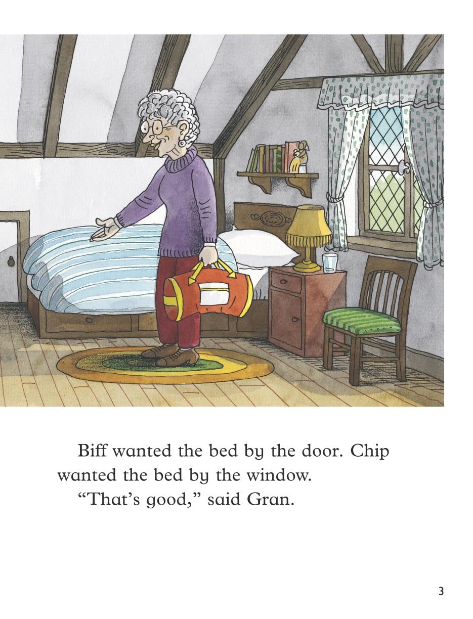 Oxford Reading Tree: Level 6: More Stories A: A Fright in the Night