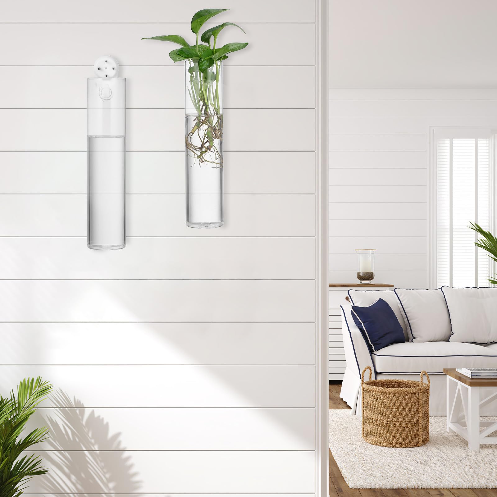BESPORTBLE Set di vasi cilindrici da parete in vetro con superficie liscia e facile da pulire, 2 pezzi, supporto per piante acquatiche da appendere, terrario decorativo moderno per piante da interno