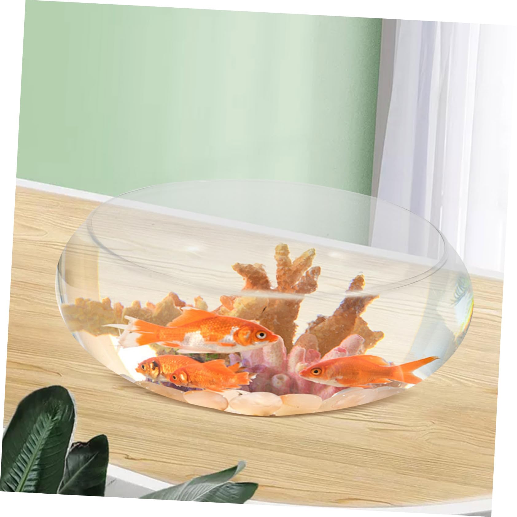 Pecera de Vidrio para Escritorio Pecera Pequeña Maceta Hidropónica para Plantas Pecera Decorativa para El Hogar