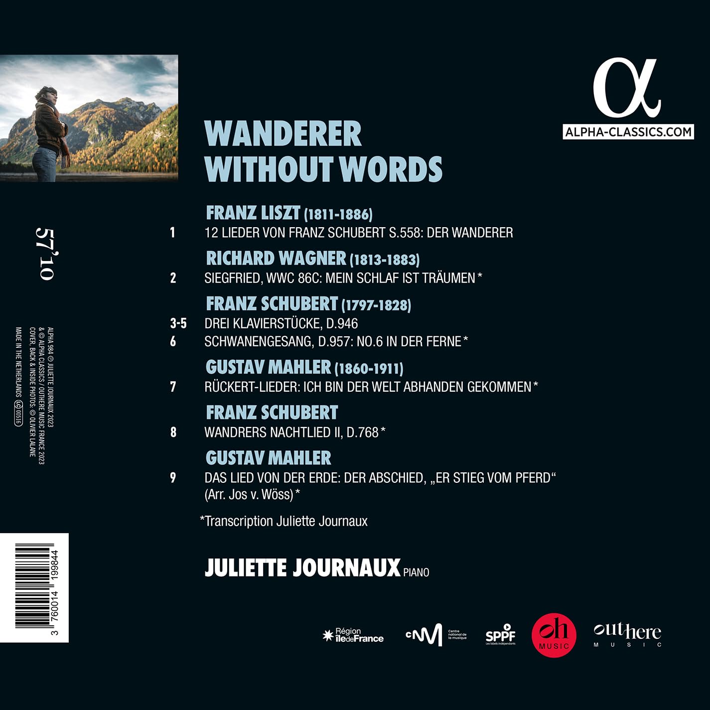 Wanderer Without Words