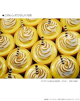 Amazon | パナソニック(Panasonic) 単焦点 マクロレンズ