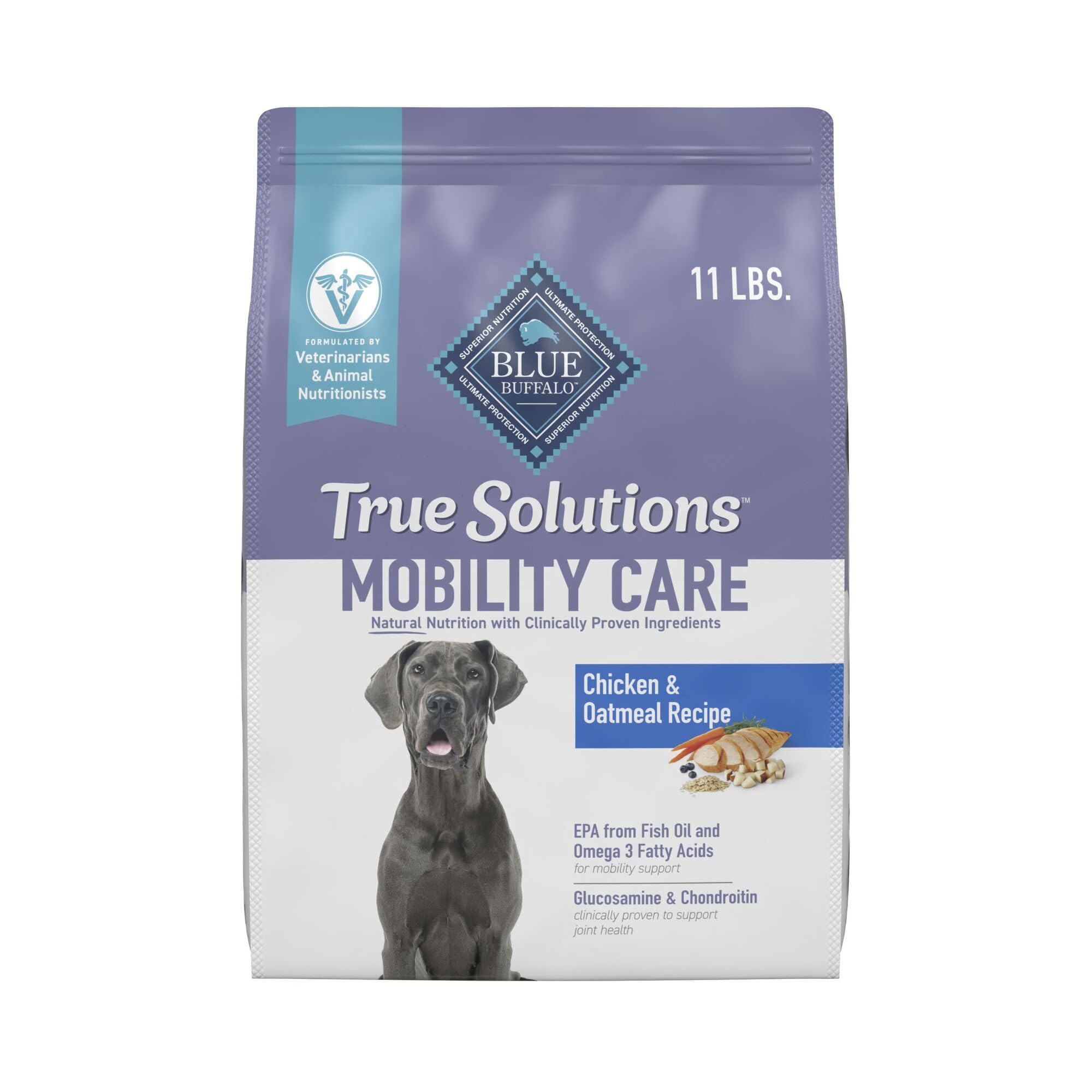 5 Best Dog Foods For Labs | Stop Joint Pain at Mealtime