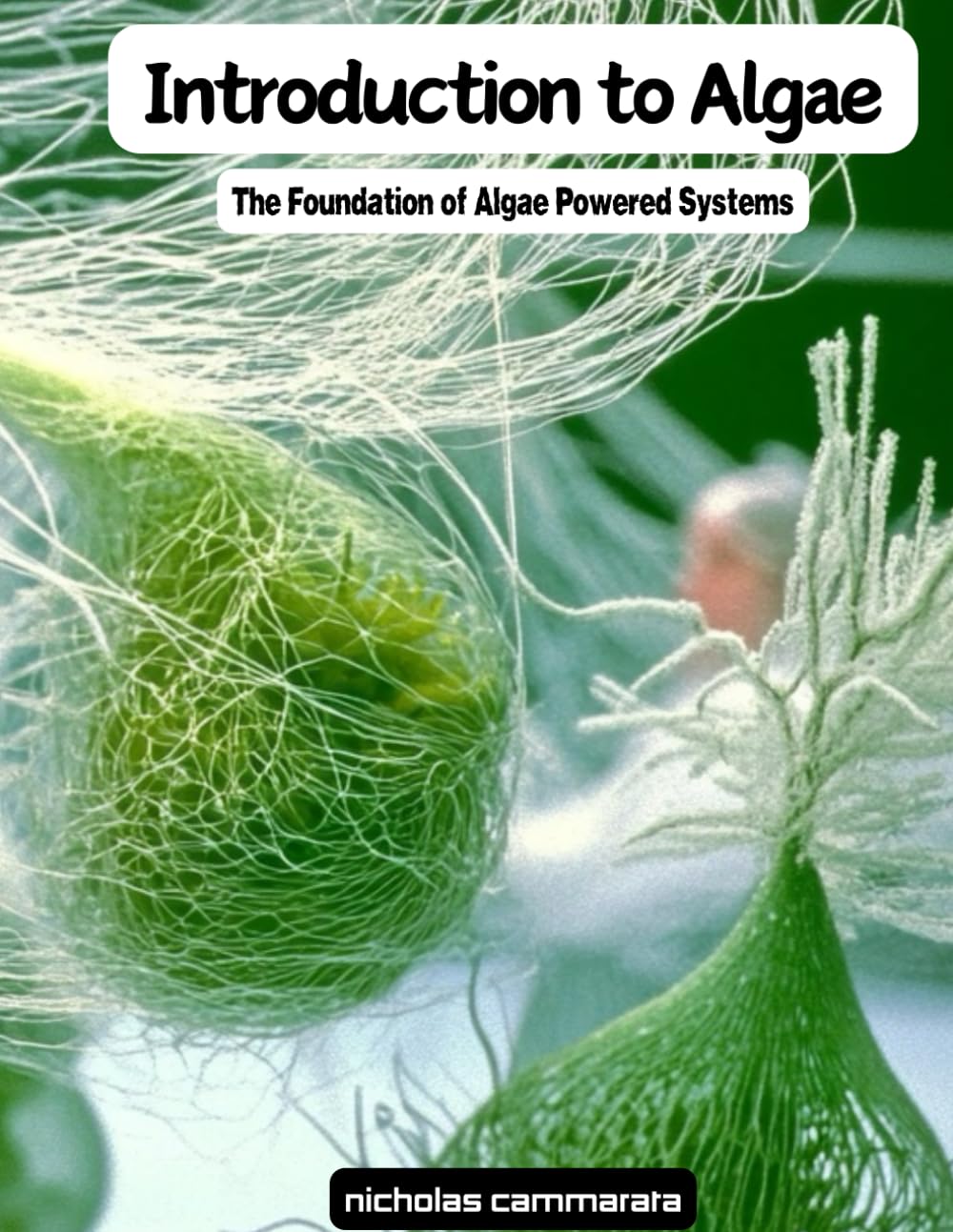 Introduction to Algae Biology: The foundation of algae-powered systems and sustainable energy