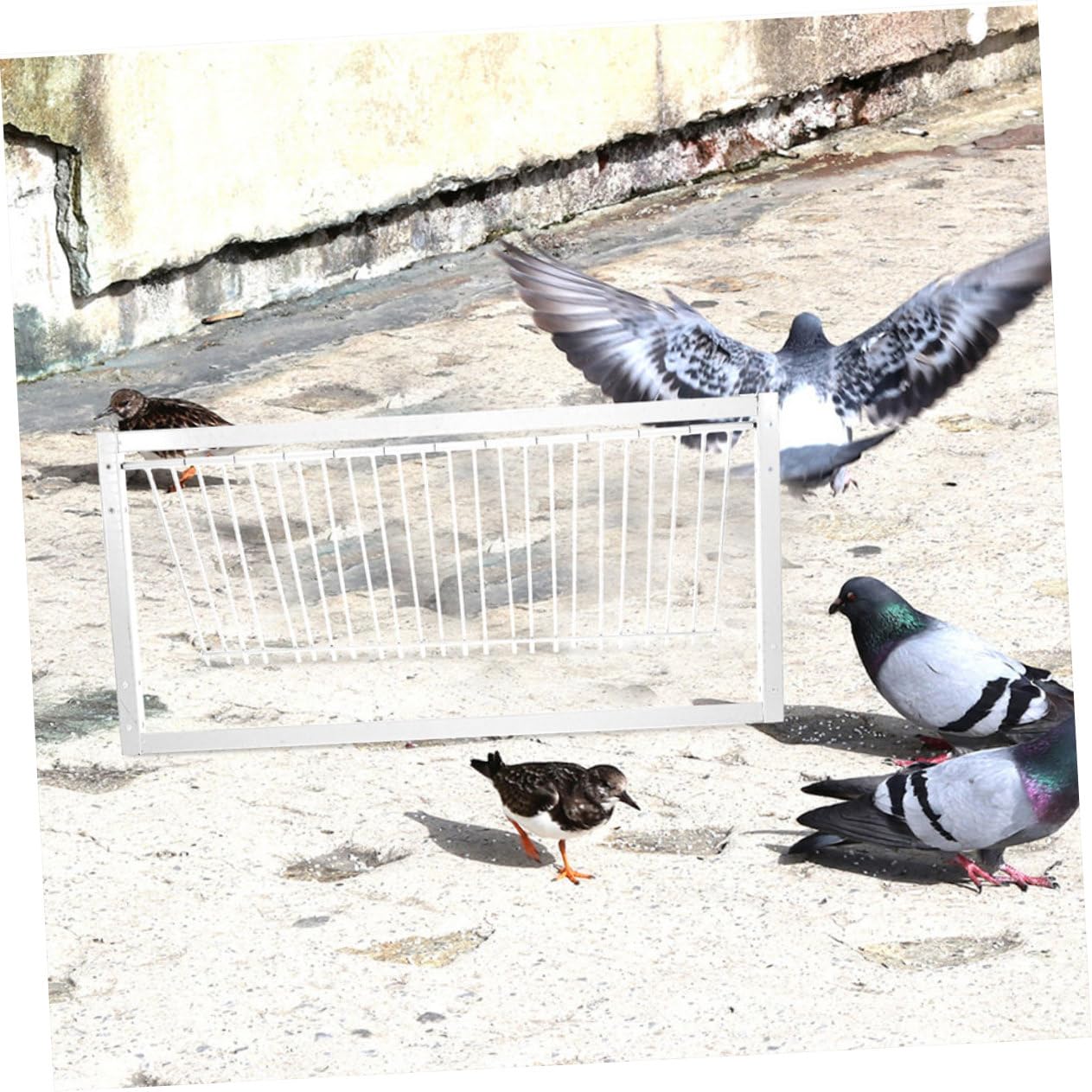 2piezas Puerta De Actividad para Jaula De Palomas Racing Diseño Encriptado Accesorios De Suministro para Jaula De Aves Fácil Instalación y Mayor Seguridad