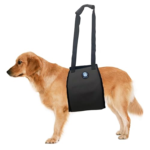 KAJILE Cinturón de Soporte de Piernas para Perros Grandes,Caminar Lesiones,Viejo,Artrosis,Gris,XL