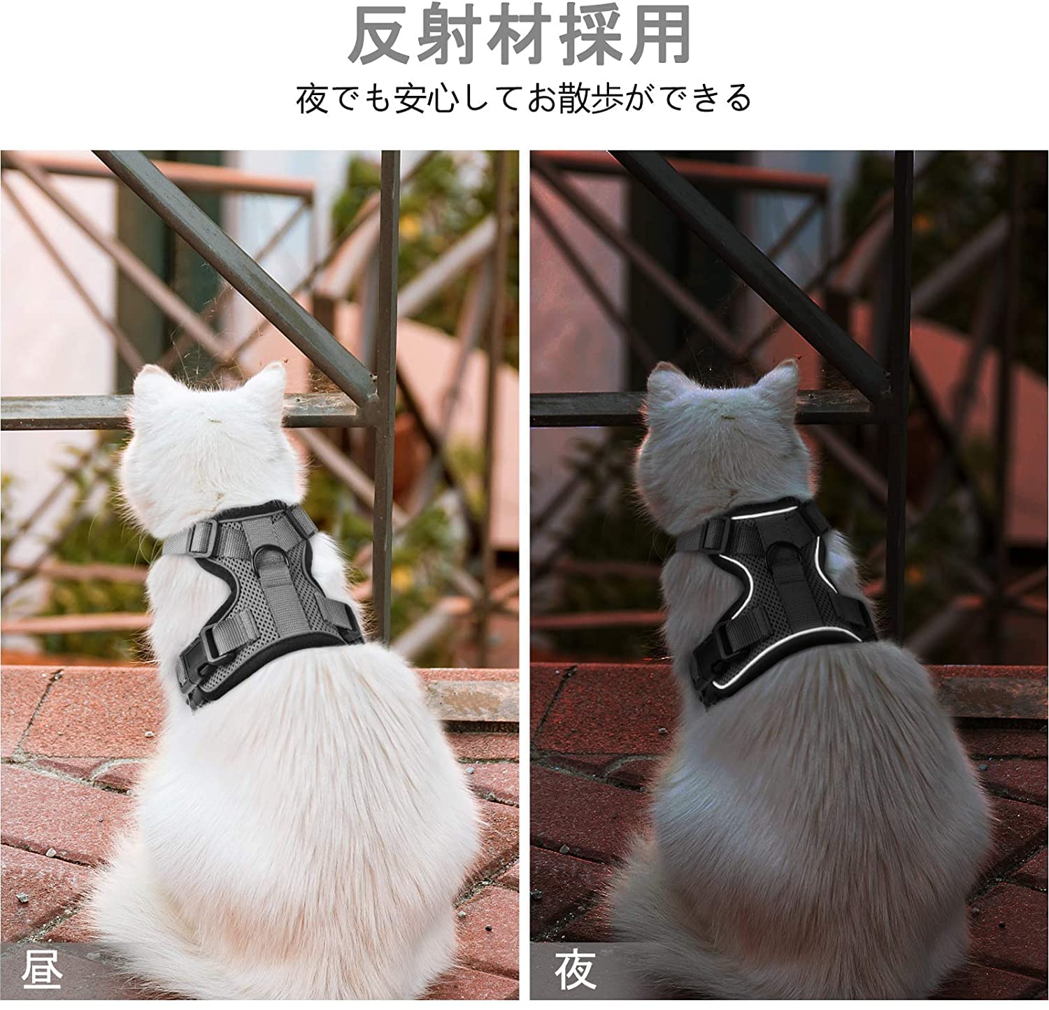 Amazon | Dooradar 猫 ハーネス リードセット 7-11kg 小型犬