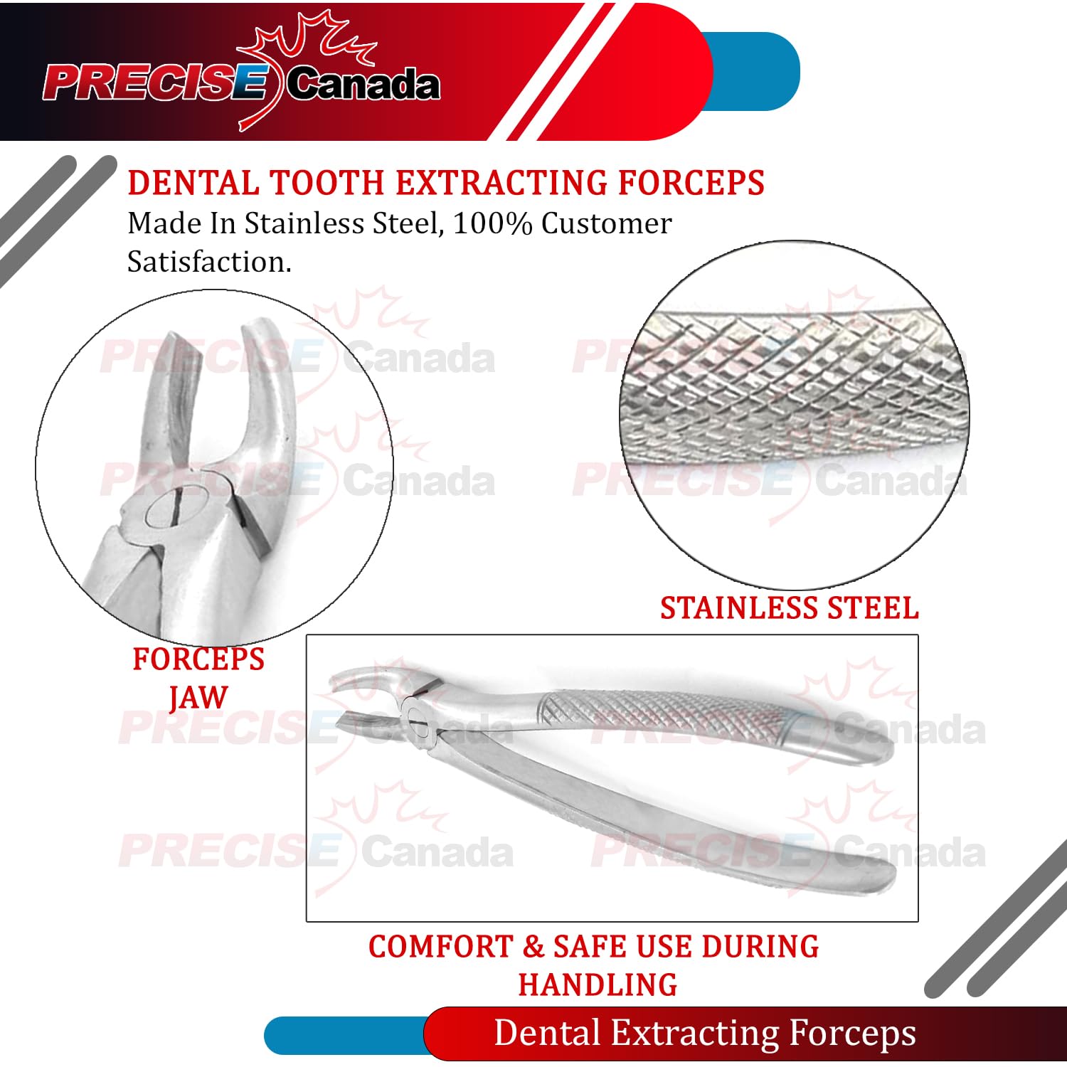 PC EXTRACTING Forceps #19 English Pattern Dental Instruments