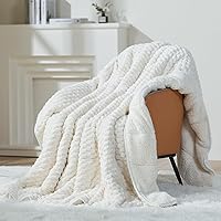 Mr. Sandman 15lbs Queen Weighted Blanket for Adults - Soft Reversible Sherpa Fleece & Jacquard Flannel, 60x80 Cream White for Deep Sleep