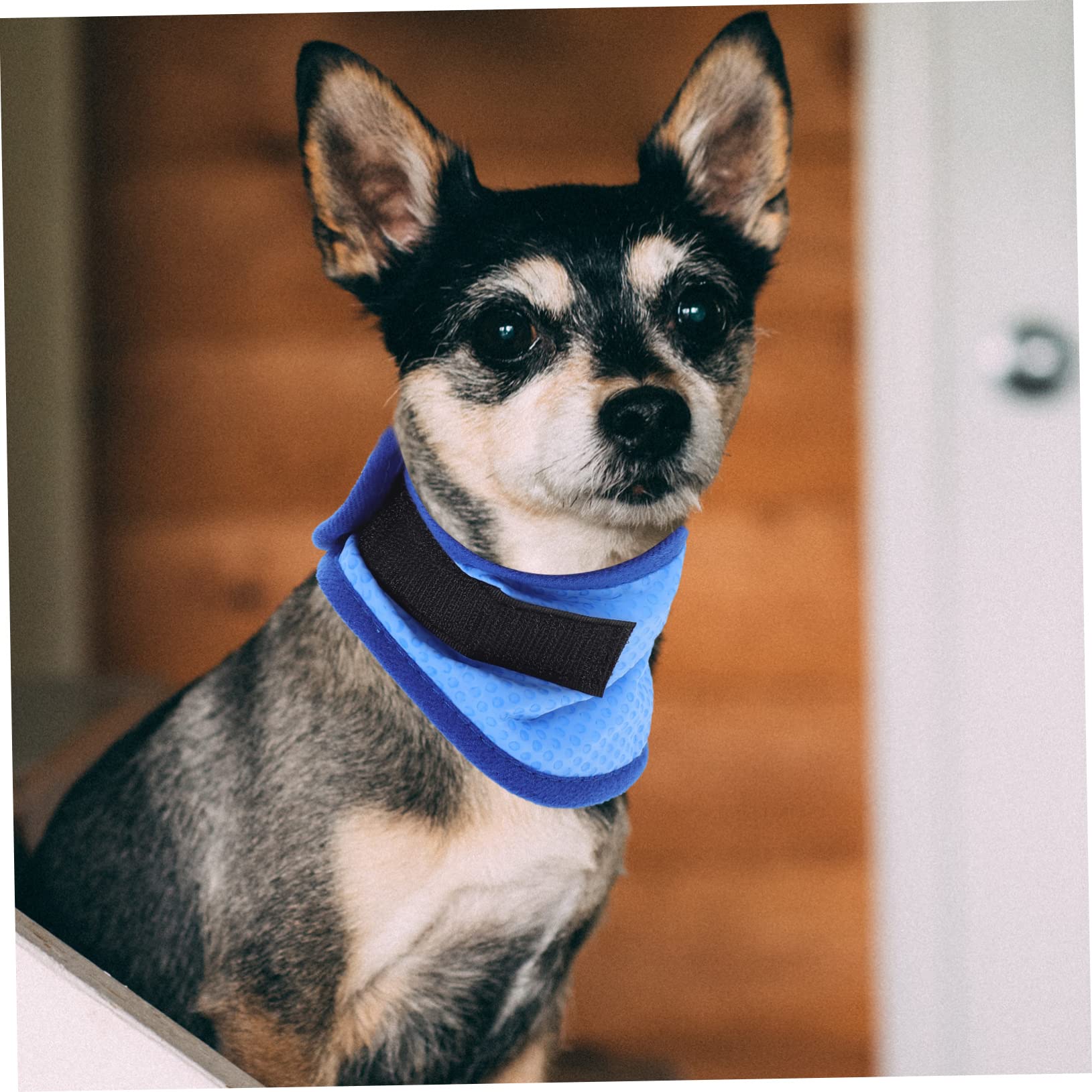 ABOOFAN Lot De 4 Bandanas Rafraîchissants pour Chiens Adorables À Usage Unique avec Écharpe Décorative pour Chat Incluse