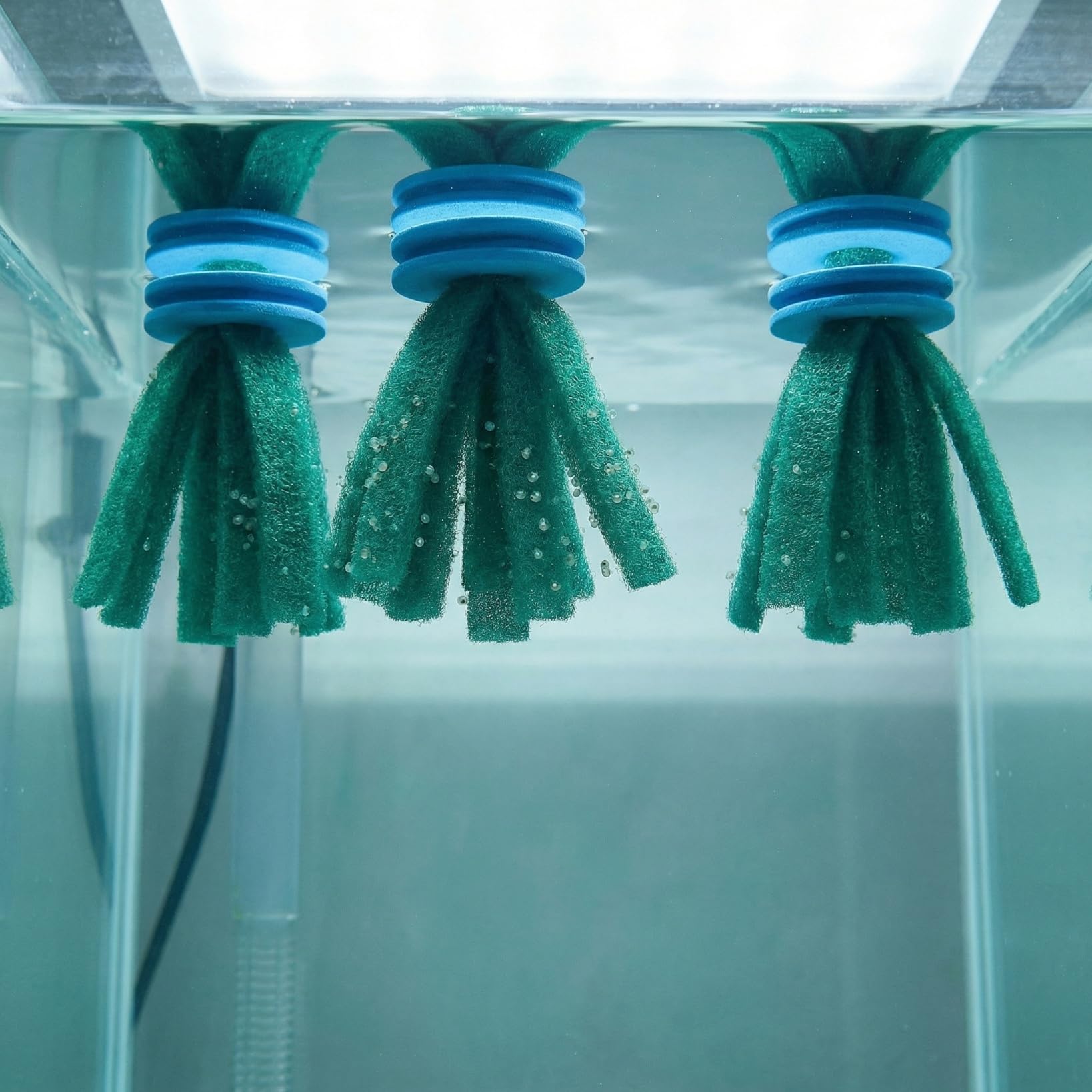 YARNOW Mop per acquario, 10 pezzi, morbidi raccoglitori di uova galleggianti per uova di pesce, adatti per allevamento di pesci Guppy e Betta