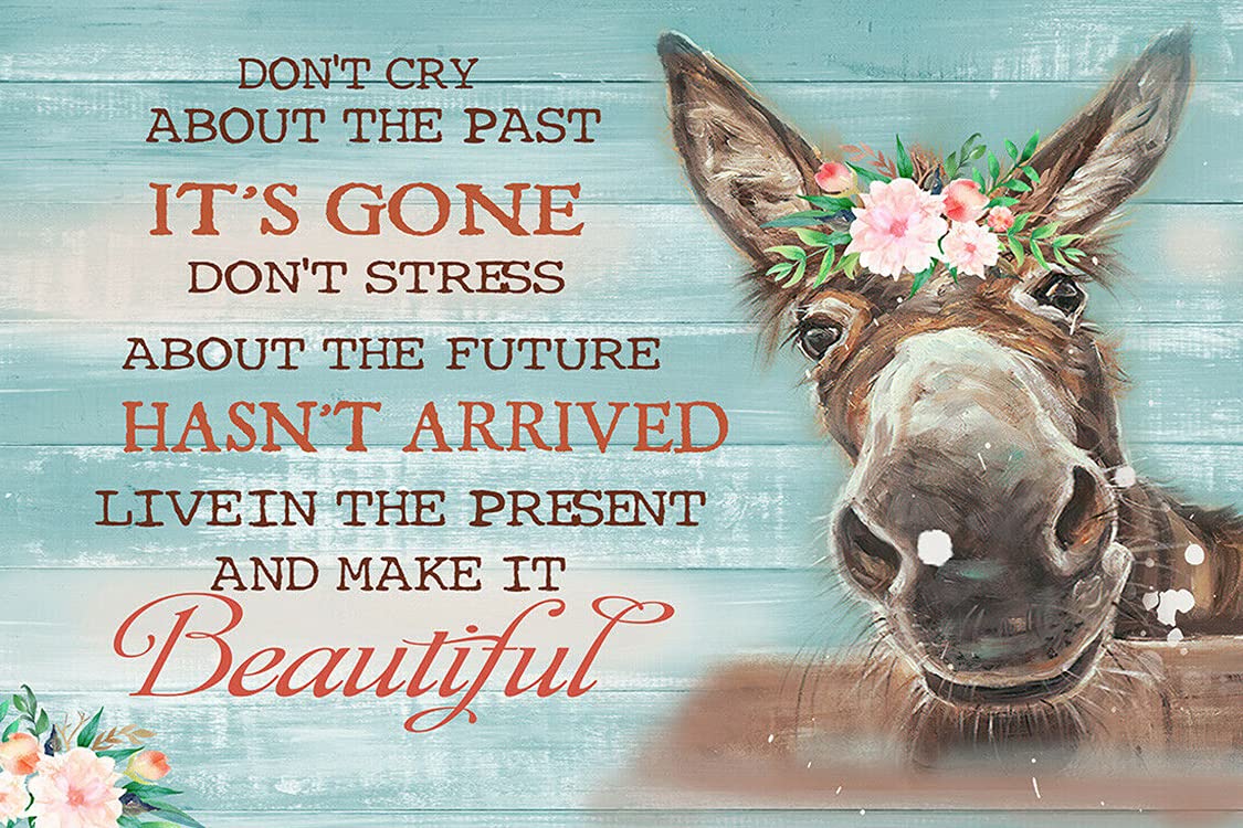 rayprint Sign Plaque Donkey Make It Beautiful Don't Cry Don't Stress Past Future Wall Home Wall Art Metal Tin Sign Cave Bar Club Home Wall Art 8x12 inch