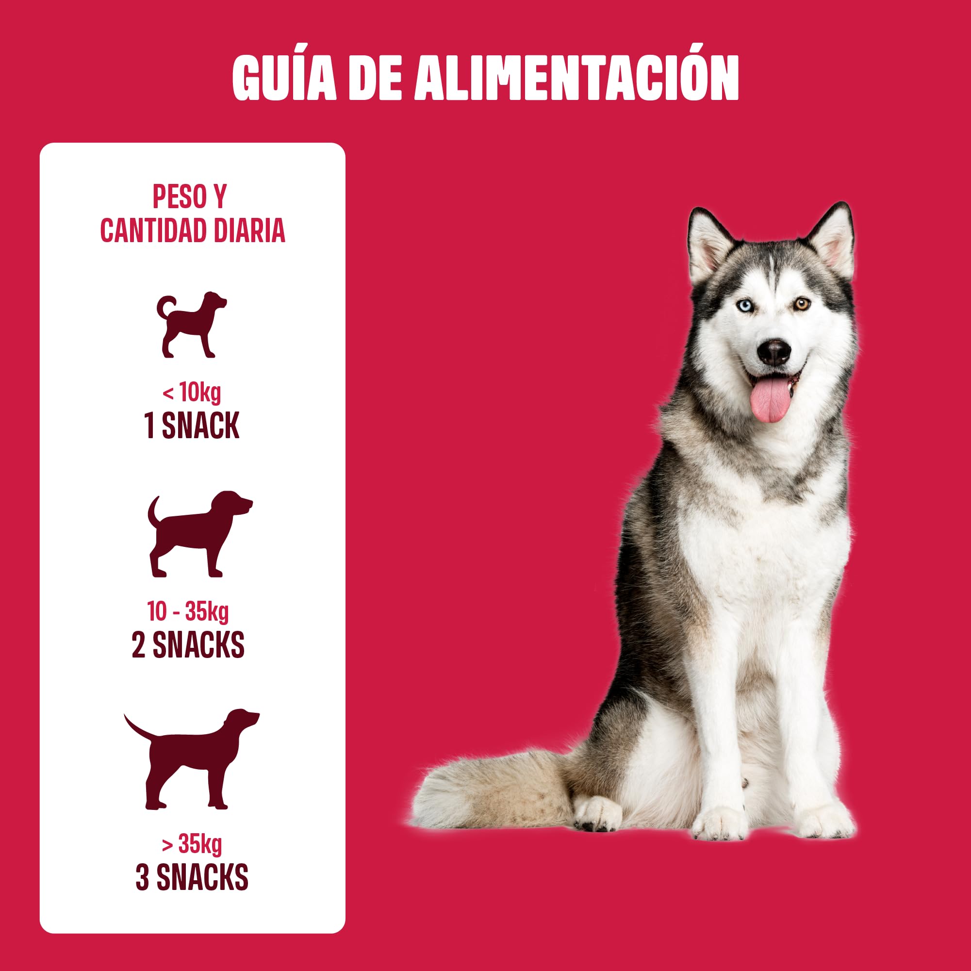 ivvi Allergy para Perros contra alergias y picazón para un Sistema inmunológico Saludable - con calostro, Equinácea Purpúrea, raíz de Taiga y Aceite de borraja - 60 Snacks (270g) con Sabor a salmón