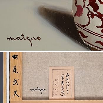 松尾武夫 油彩 額装 花 リアリズム 無所属 東急百貨店等個展多数 油絵 E 松尾武夫 油彩 額装 花 リアリズム 無所属 東急百貨店等個展多数