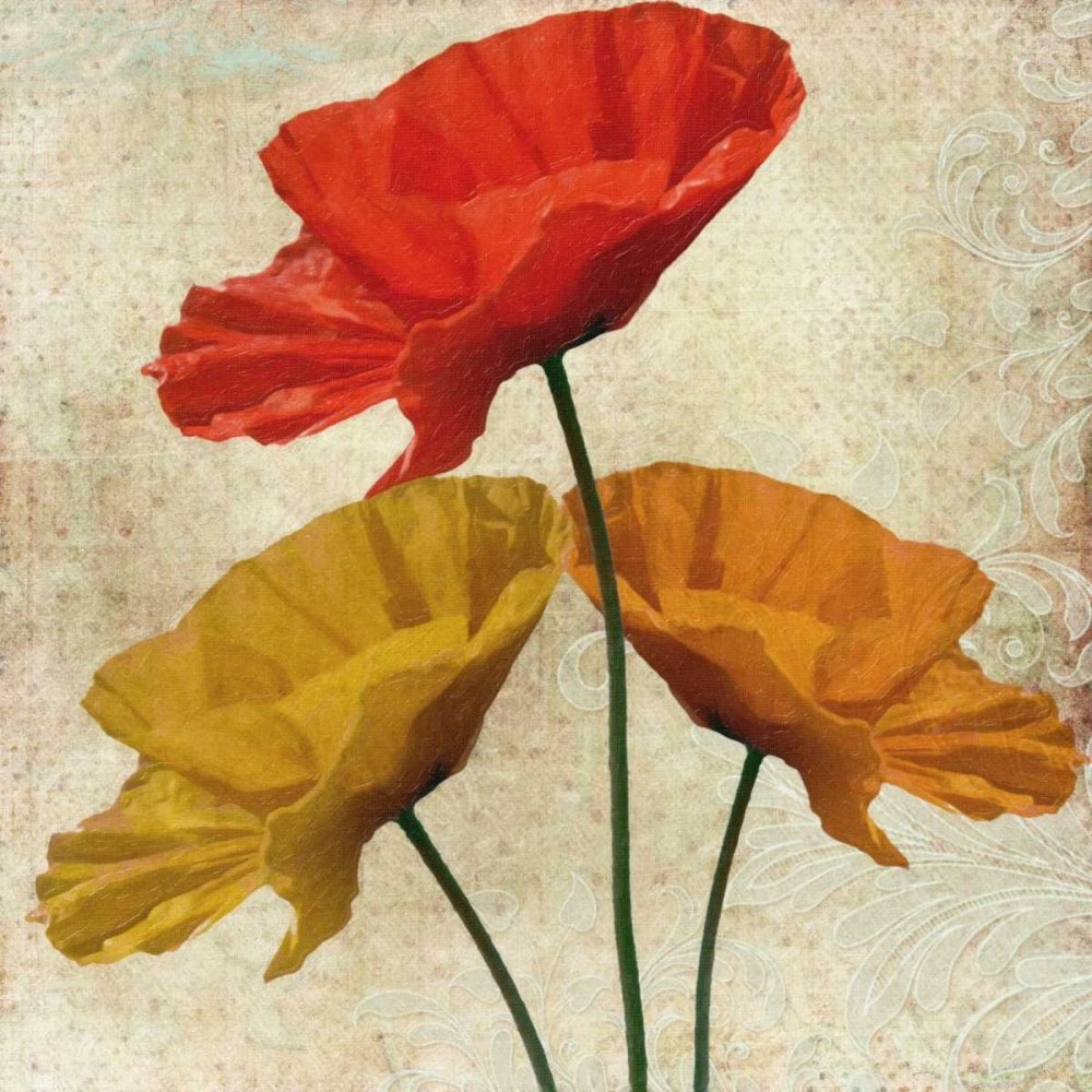Posterazzi PDXTGSQ183BLARGE - Impresión fotográfica de Poppy II, 61 x 61 cm, multicolor