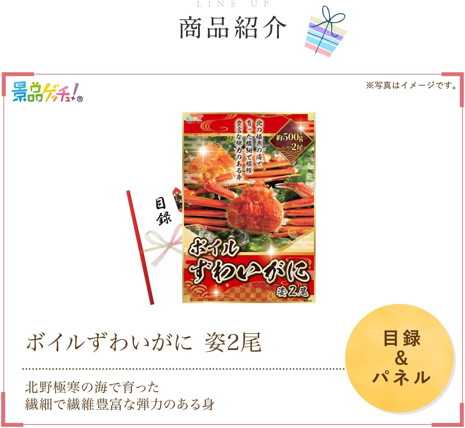 廃盤 デュオラ10 3UG5 廃盤 デュオラ10 3UG5 袋付き 廃盤 デュオラ10