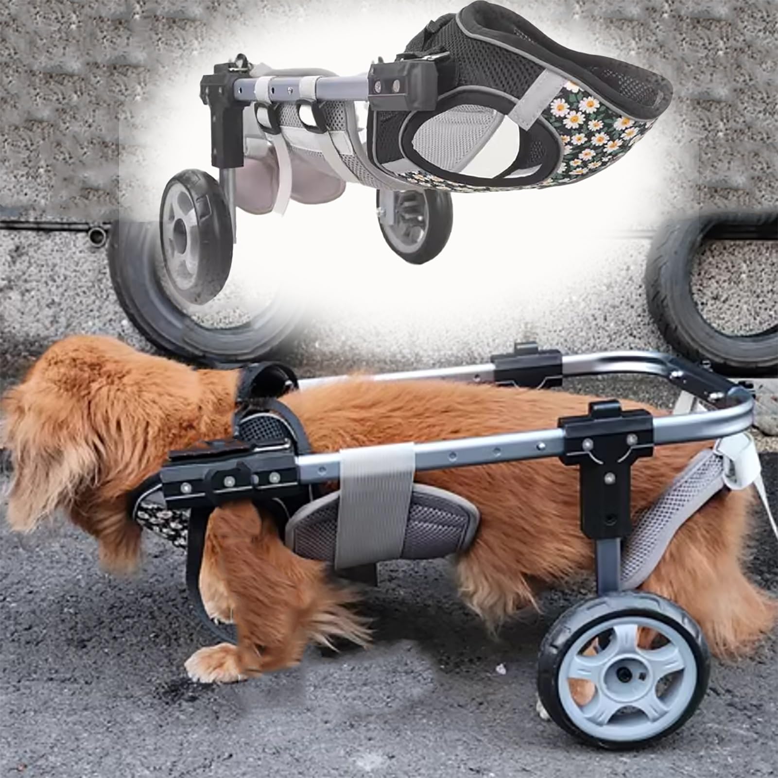 Aide au chien de petite taille S : fauteuil roulant assisté deux roues