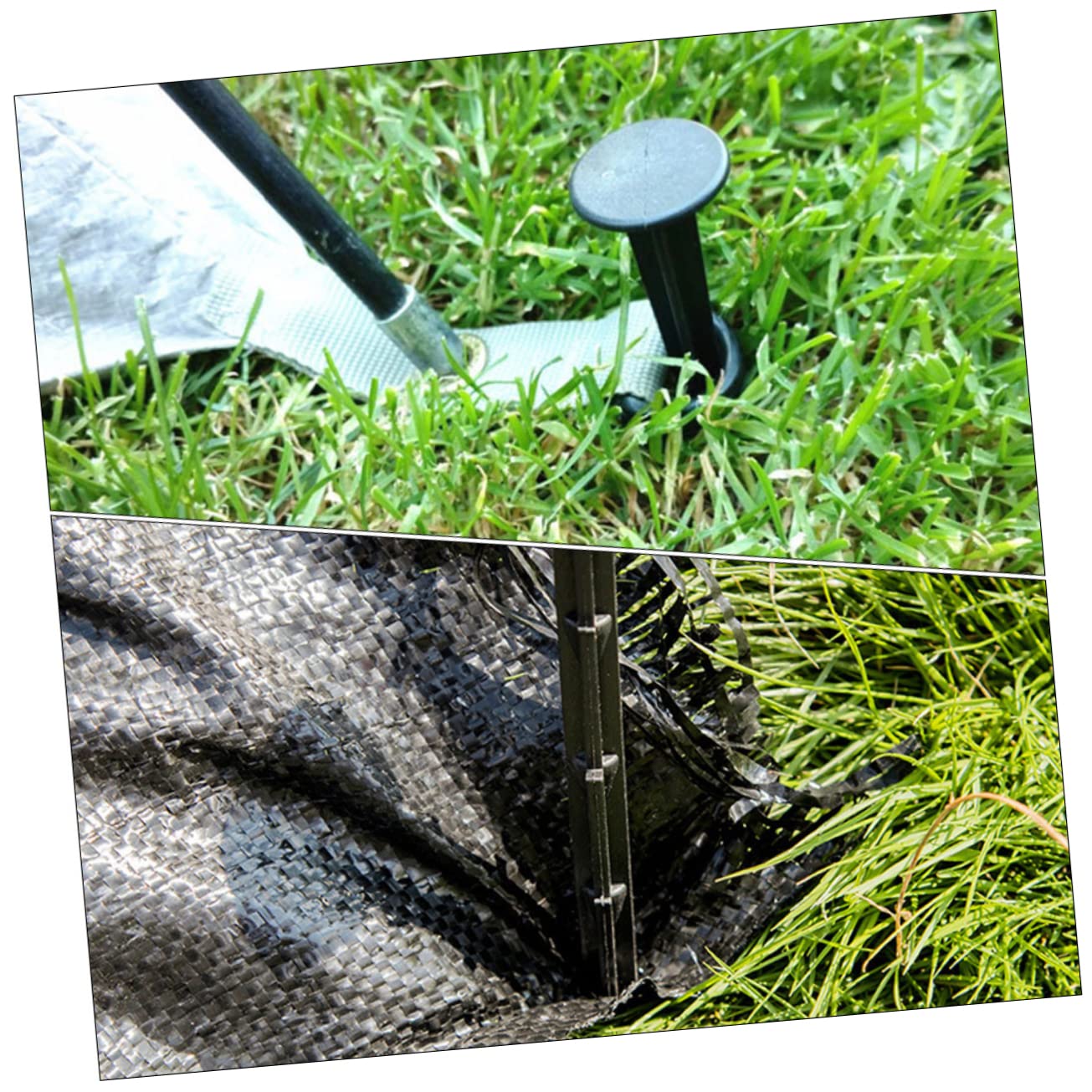 INOOMP 100pezzi Chiodi Fissaggio Per Pacciamatura Ombreggiante e Giardinaggio Resistenti e Riutilizzabili Per