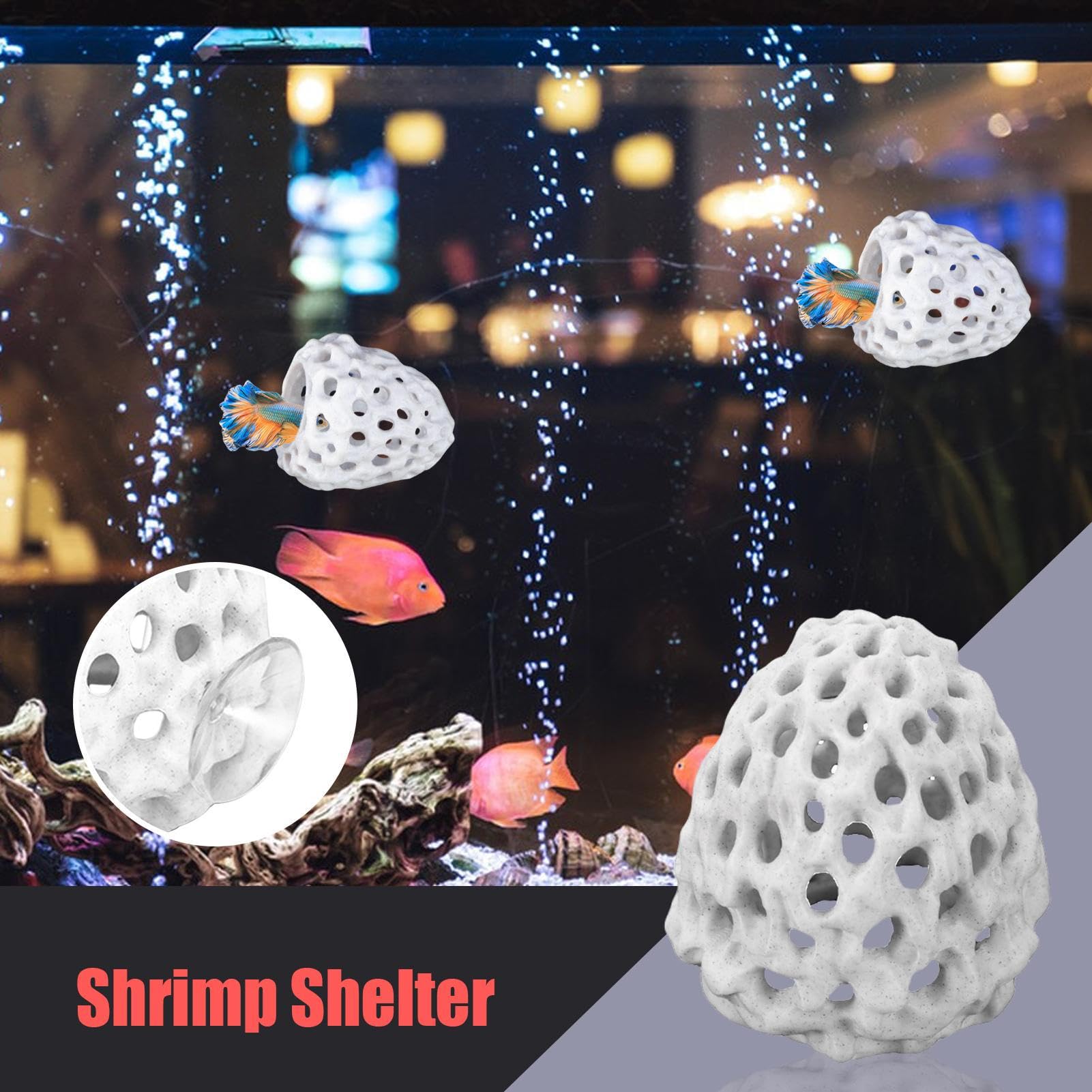 View 2