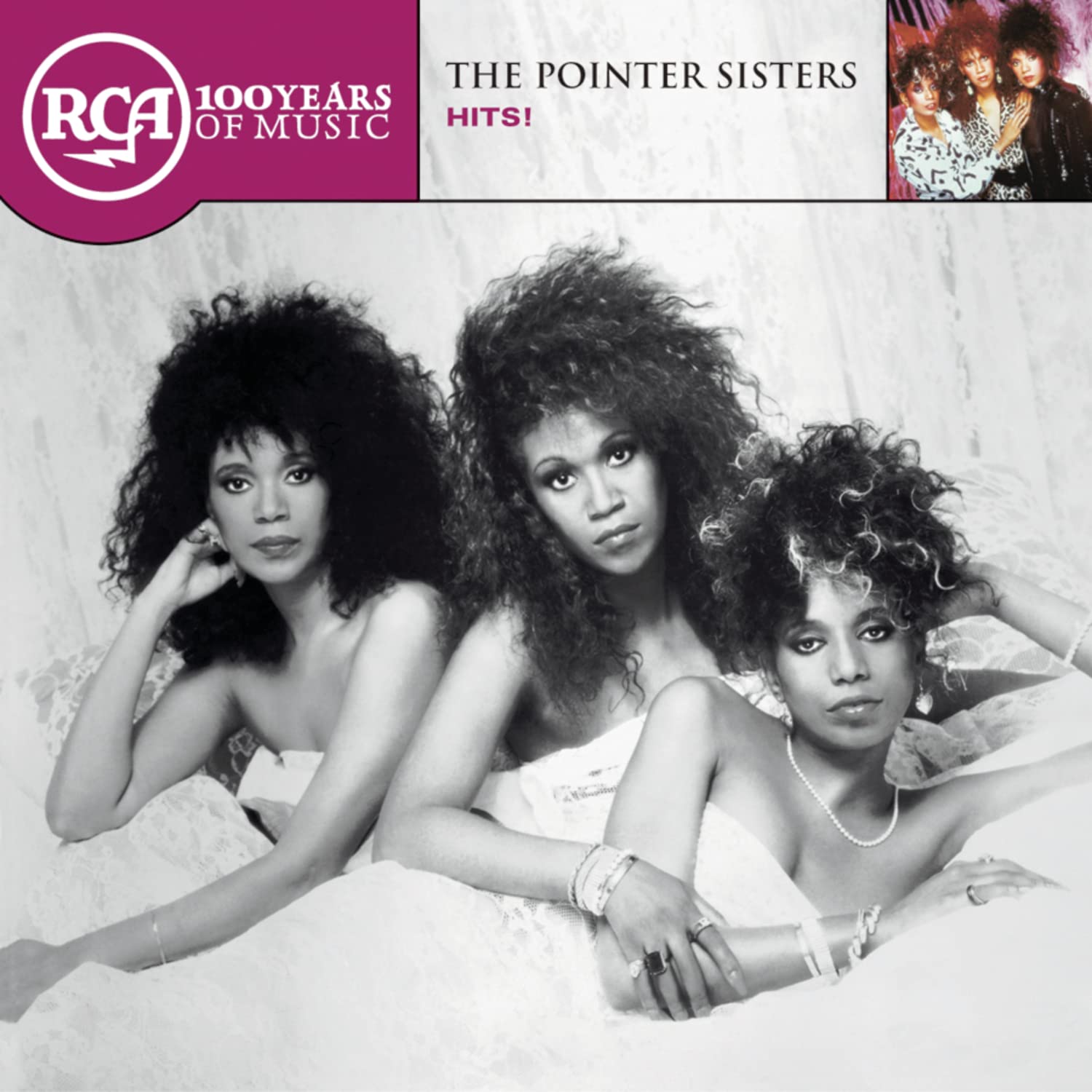 RCA 100th Anniversary Series-The Pointer Sisters Hits [Audio CD]