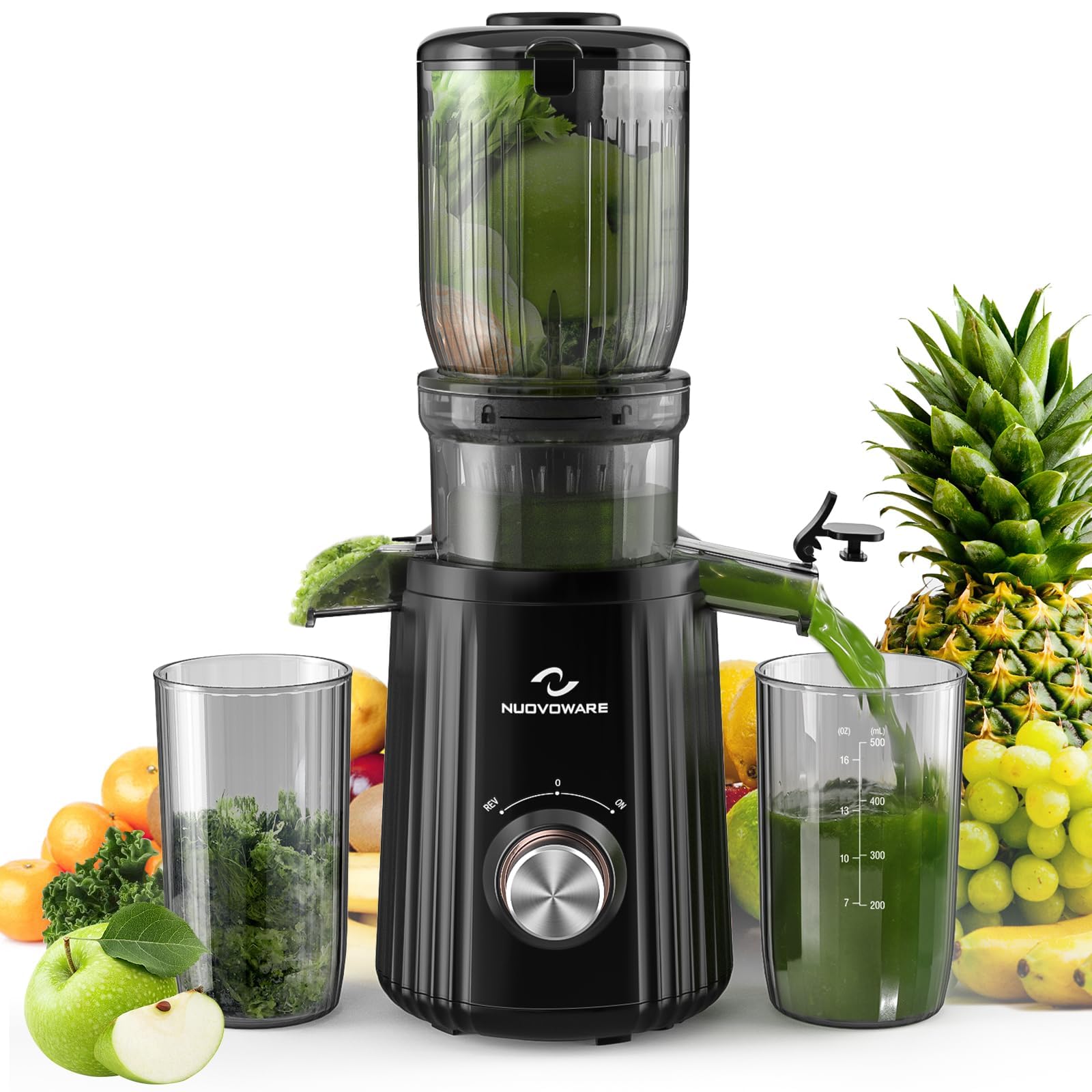 Nuovoware Cold Press Juicer 1.25'', 250W Masticating Juicer Machine Large Feed Chute Fit Whole Fruit Vegetable, High Juice Yield 2 Filters, BPA Free, Easy to Clean, Black