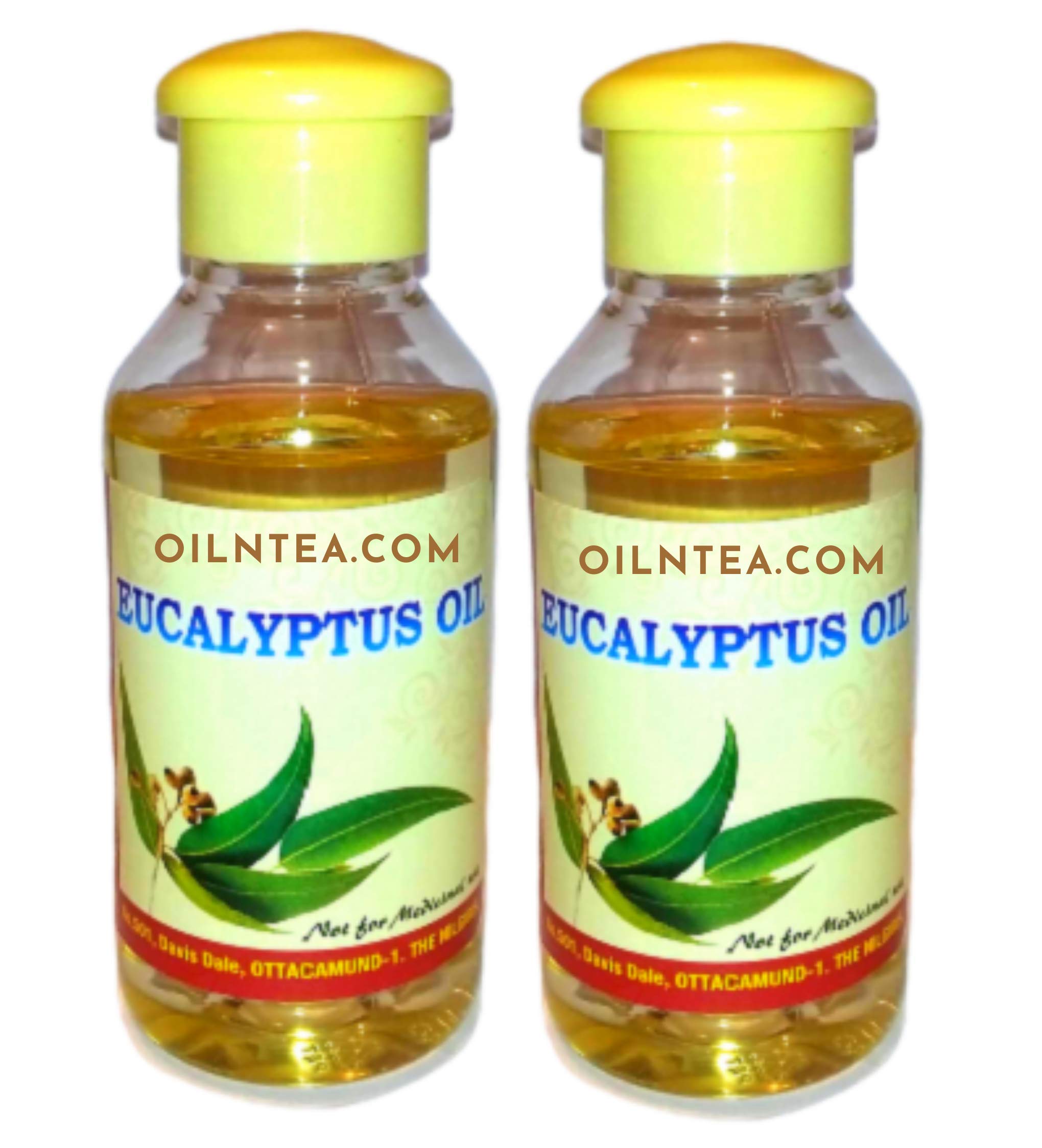 100% Pure Nilgiri (Ooty) Eucalyptus Oil, Natural & Farm Fresh Nilgiri tel For Cough & Cold, Headache, Body & Muscle & Joint Pain, Aromatherapy, Mehandi and Diffuser (60ml+60ml) (B0CFG55JXM) Amazon Price History, Amazon Price Tracker