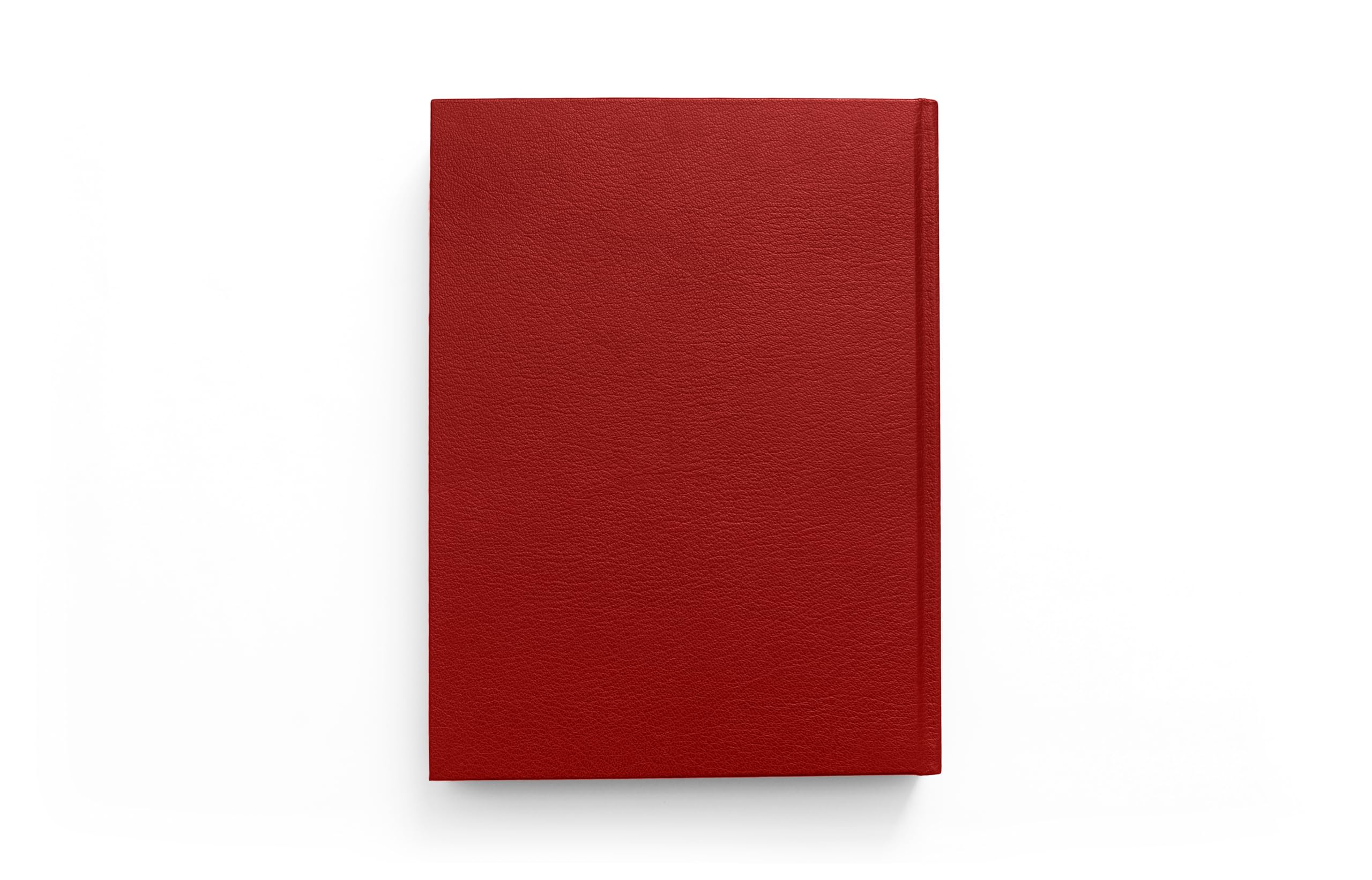 Marina Abramovic: Eine Bild-Biografie - Das Kunstbuch des Jahres - Ein Bildband mit über 700 Fotos