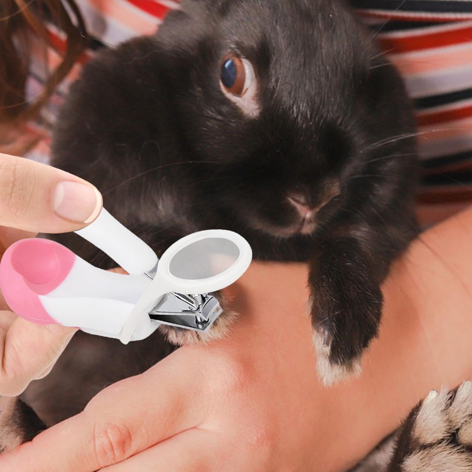 Nagelknipser für Meerschweinchen, Scheren für die Tierpflege - Mehrzweck-Nagelknipser für Tiere, Igel-Nagelknipser | Tragbarer Haustier-Nagelschneider, Krallen- und Zehennagelschneider für Igel,