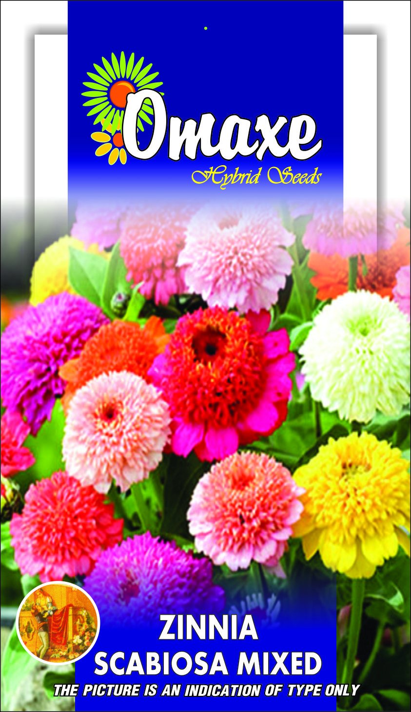 Zinnia Seeds - Scabiosa Flowered Mix, 50 Seeds Pack by Omaxe (B0165FKACG) Amazon Price History, Amazon Price Tracker
