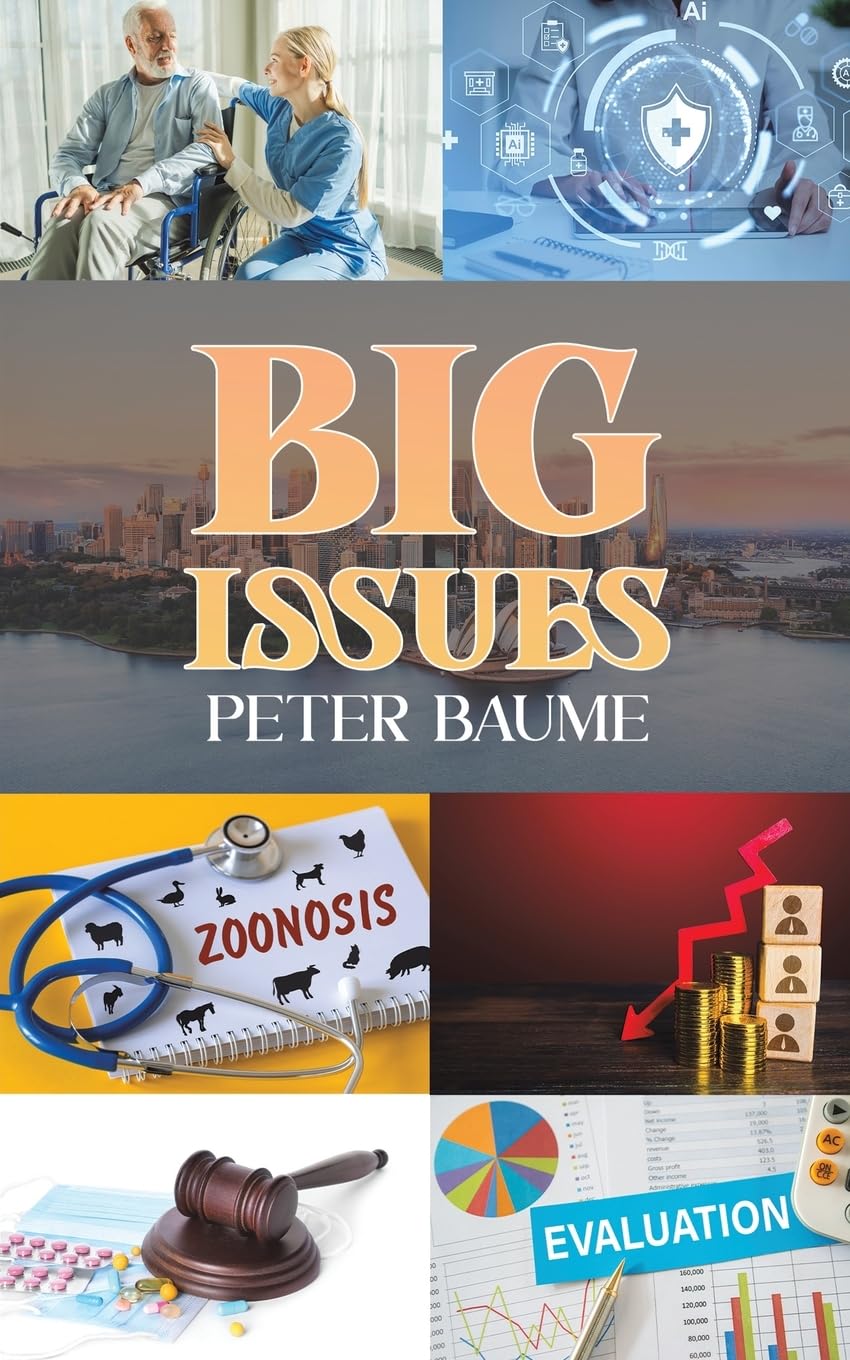 Big Issues by Peter Baume - 9781035818709