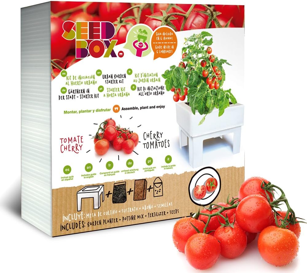 Seed Box for Growing – Urban Garden