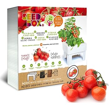 SeedBox SBCUTC - Huerto Urbano de Tomates Cherry: Amazon.es: Jardín