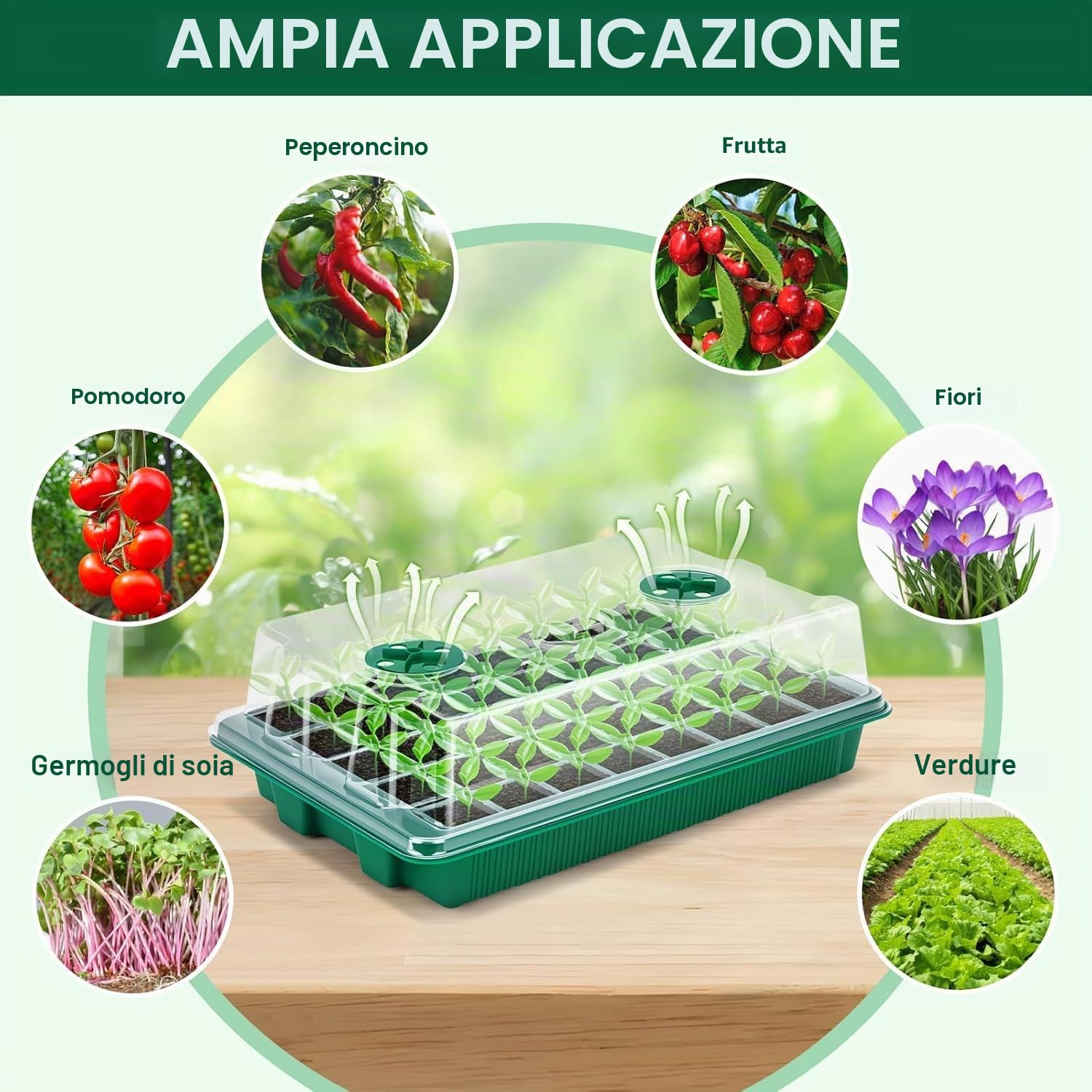 LATERN 4 Pezzi Vassoi per Piantine, 24 Celle Vassoio per Vivaio in Plastica Propagatore di Semi di Fiori con Sfiato Regolabile per Serra Giardino Casa Piantina (con 20 Etichette, 2 Attrezzi)