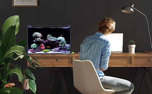 Miniatura 9 de Landen Tanque de acuario de hierro bajo de hierro ultra transparente de 15 galones de 45P con cámara de filtración trasera (bomba de devolución