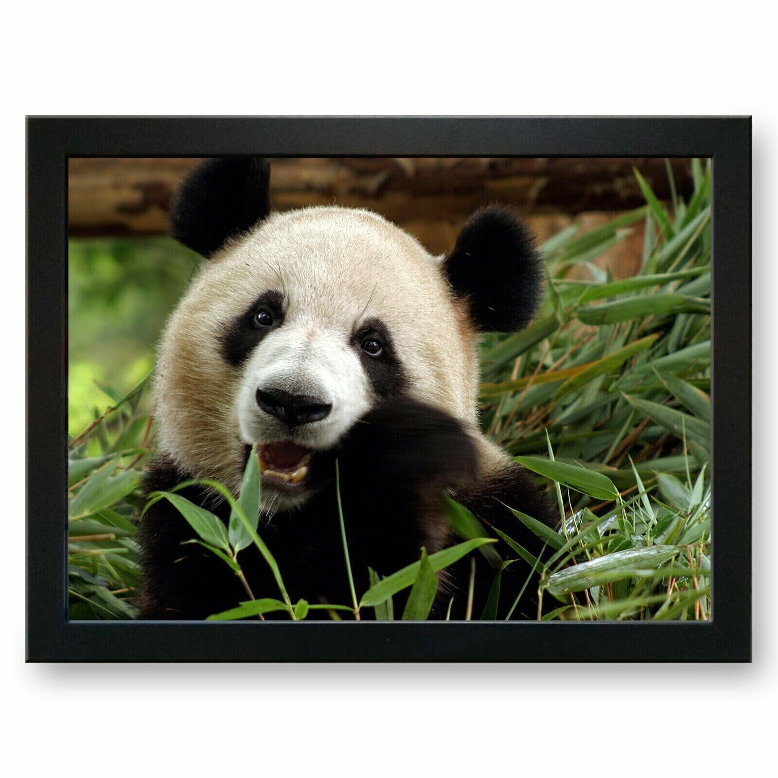 Panda Lap Tray Cushioned Functional Lap Surface Versatile Lap accessory Laptop Food Reading Crafting Home office Kids Adults
