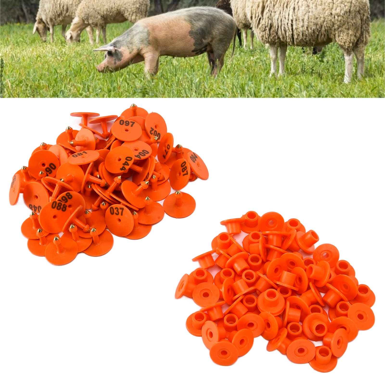 Qcwwy 100 Targhette Auricolari per Bestiame con Numeri, Targhette Auricolari Rotonde per Identificazione Conveniente per Volpi, Maiali e Pecore, Testina per Chiodi in Rame a Lunga