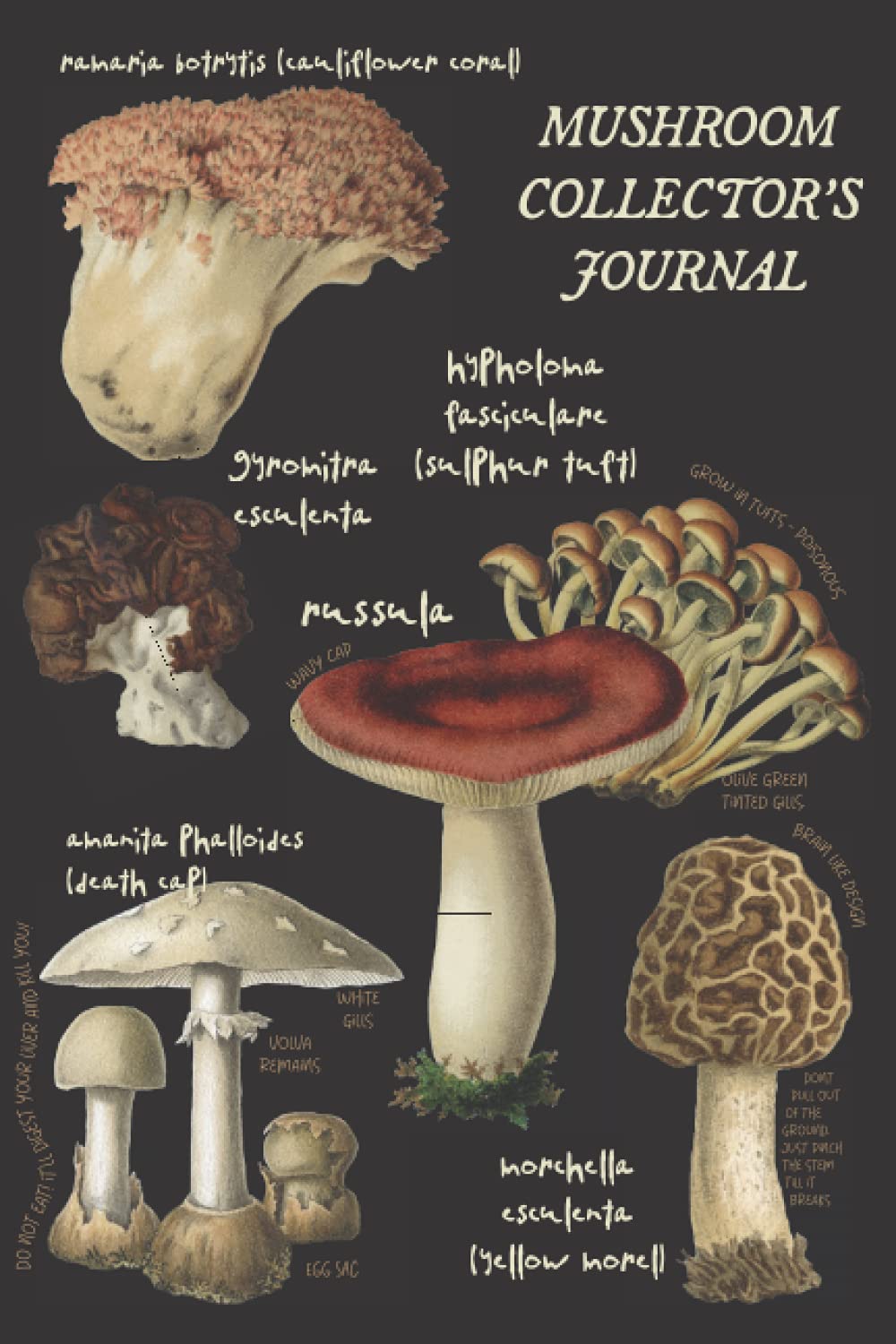 Mushroom Collector's Journal: Wild Mushroom Foraging Log Book | 6x9 | Pocket-sized Mushroom Hunter Log book